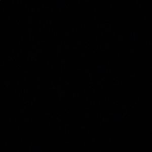 Meet your Posher, Tyson